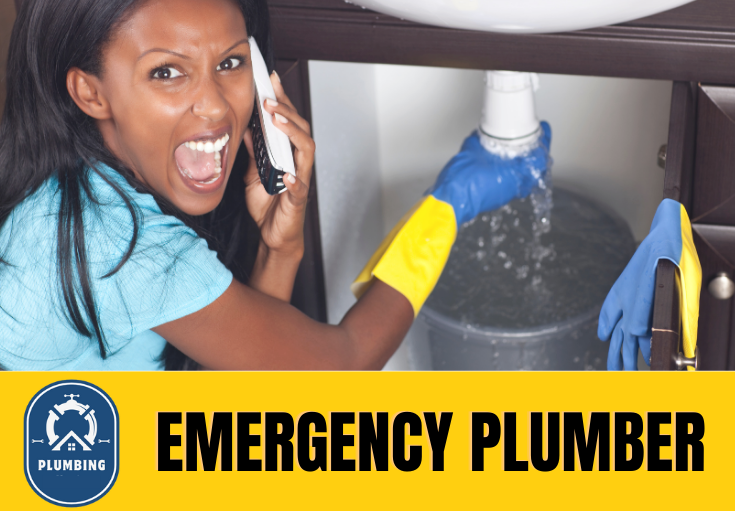 emergency plumber Sandwich