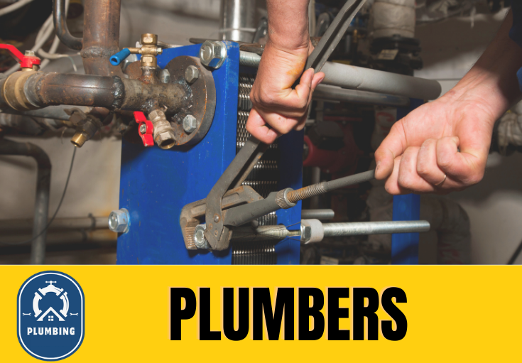  plumber Ash